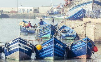 Day trip to Essaouira