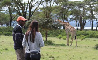 Hells Gate, lake  Naivasha, Crescent island safari