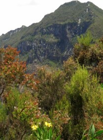 Hike to Mount Longonot