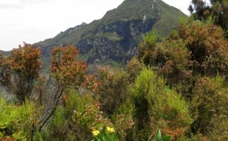 Hike to Mount Longonot