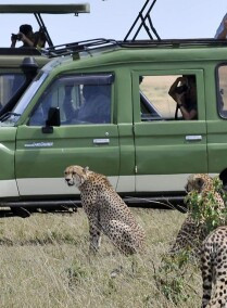 Migration Safari to Maasai Mara