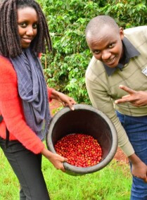 Coffee Farm Tour
