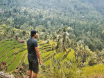 Gede