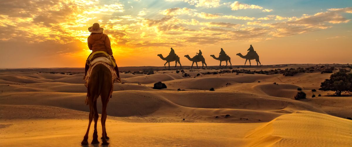 safari in qatar cost